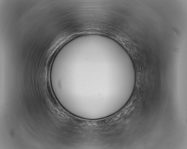 X0000111490194200907141110