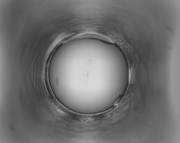 X0000111490195200907141110