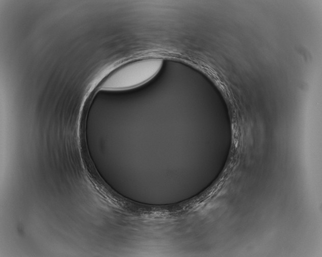 X0000111490196200907141110