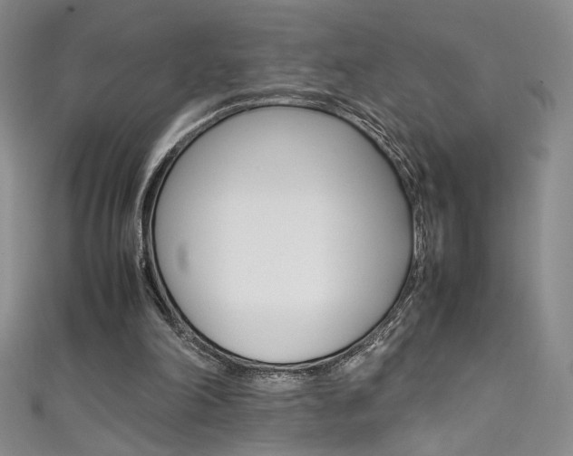 X0000111490198200907141110