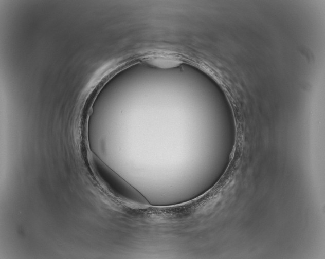 X0000111490199200907141110
