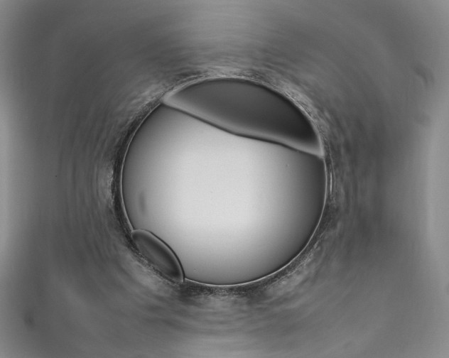 X0000111490201200907141110