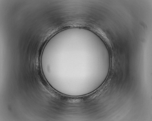X0000111490202200907141110