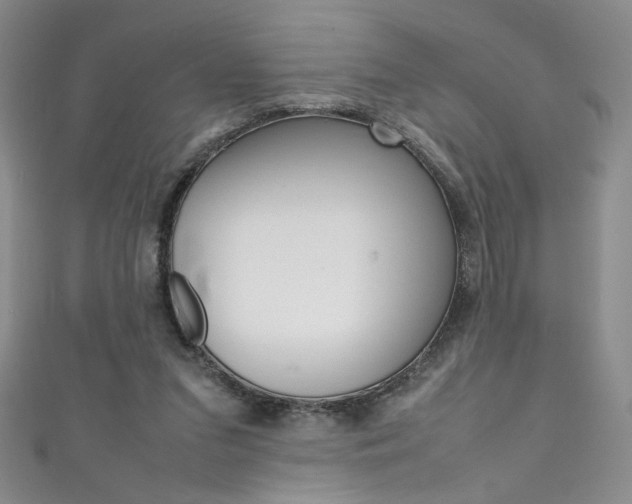 X0000111490207200907141110