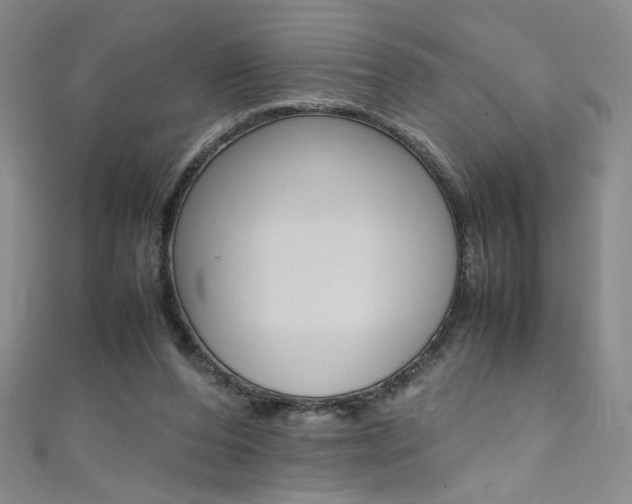 X0000111490208200907141110