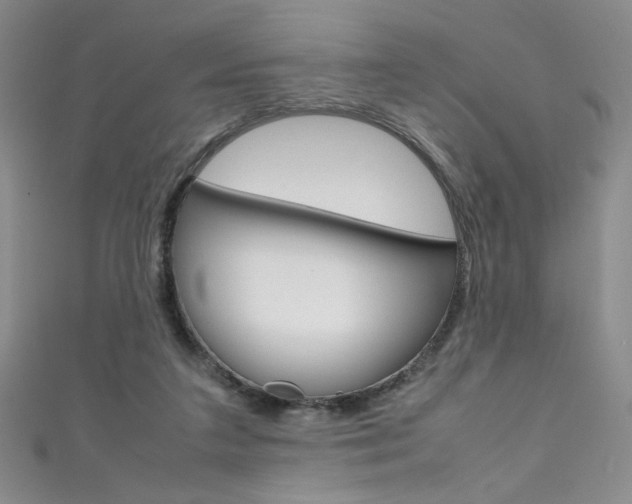 X0000111490211200907141110