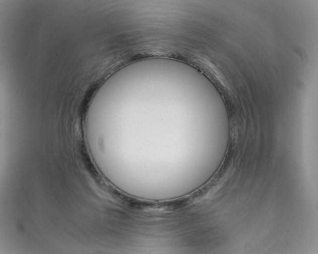 X0000111490213200907141110