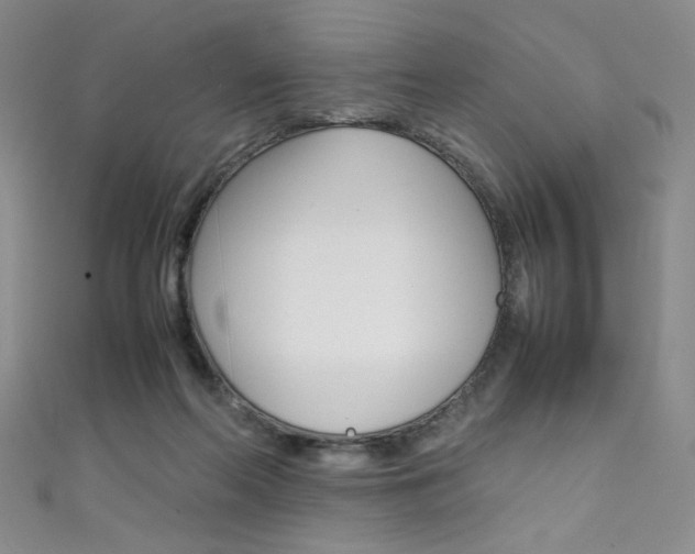 X0000111490214200907141110
