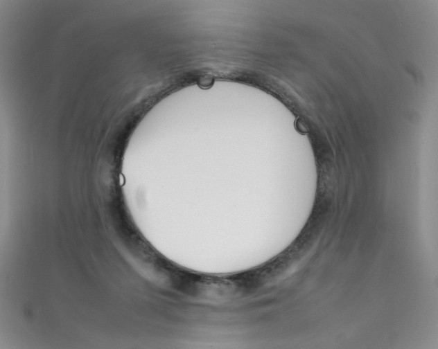 X0000111490215200907141110