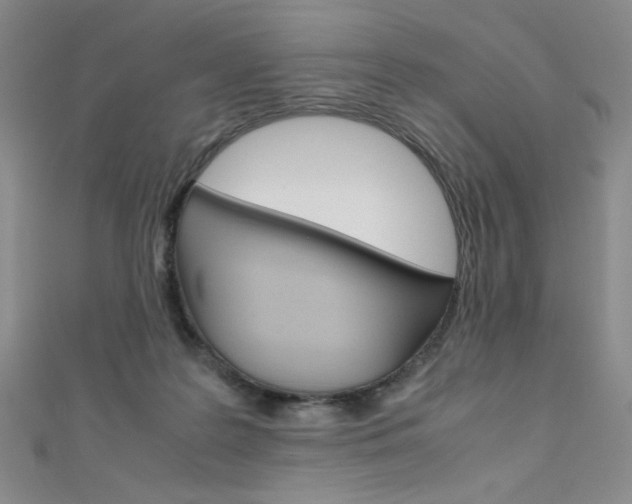 X0000111490219200907141110