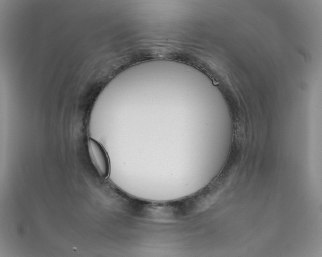 X0000111490221200907141110
