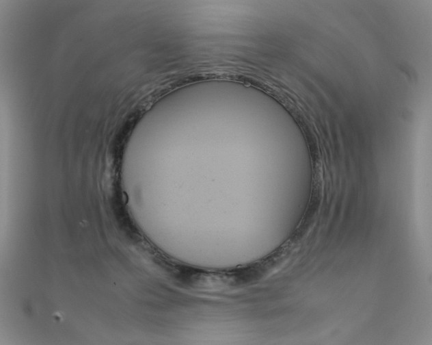 X0000111490223200907141110