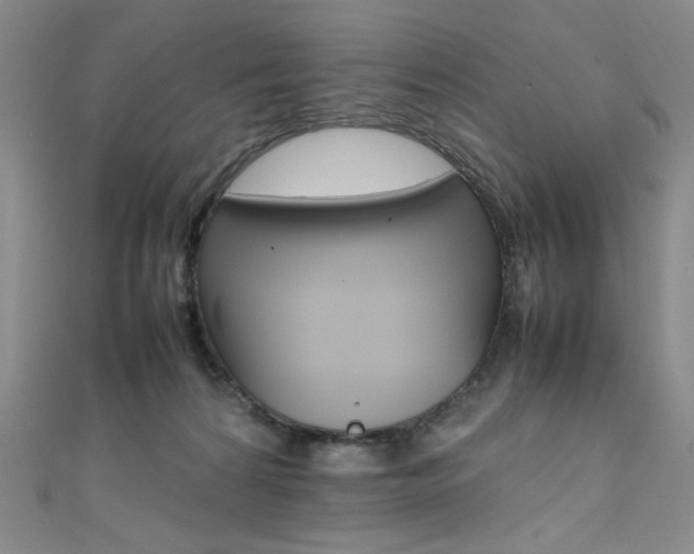 X0000111490224200907141110