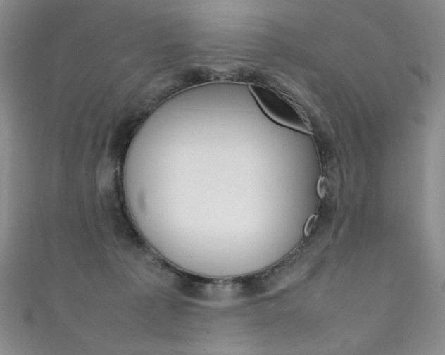 X0000111490225200907141110
