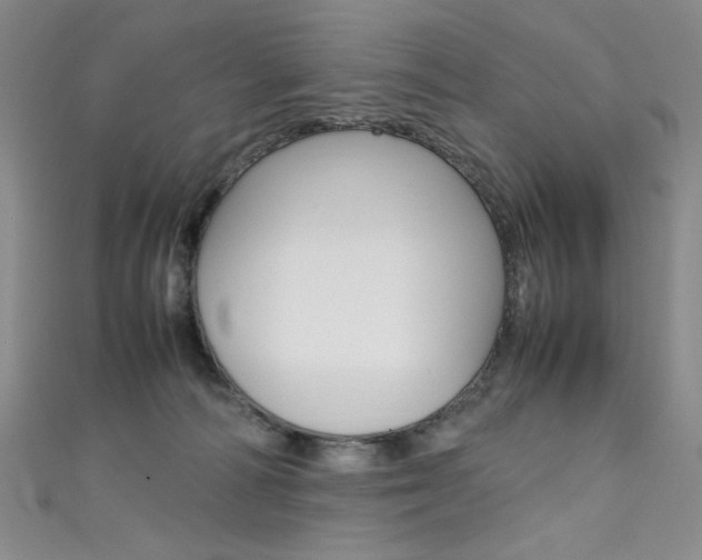 X0000111490226200907141110