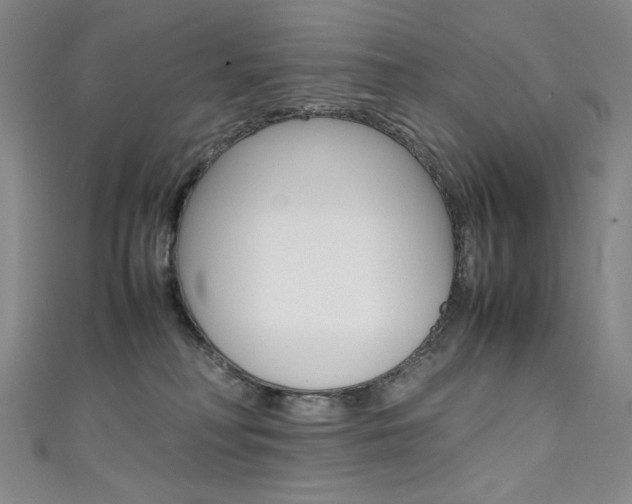 X0000111490230200907141110