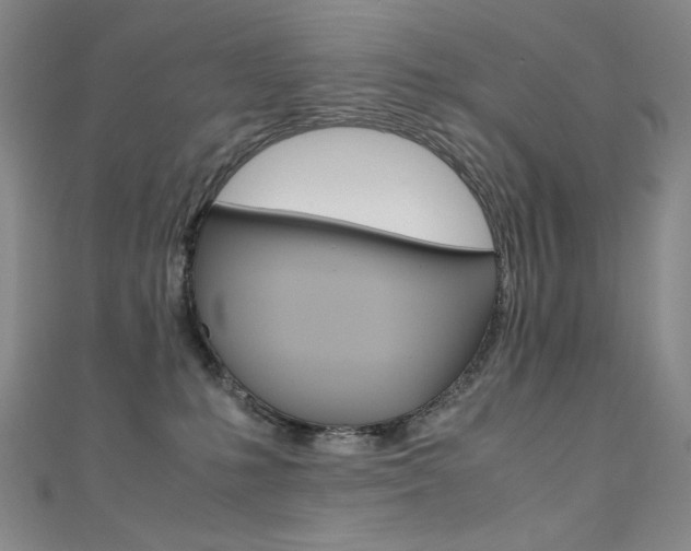 X0000111490231200907141110