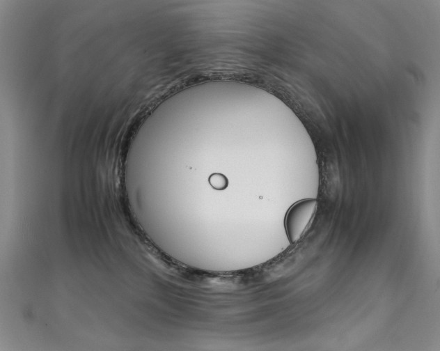 X0000111490232200907141110