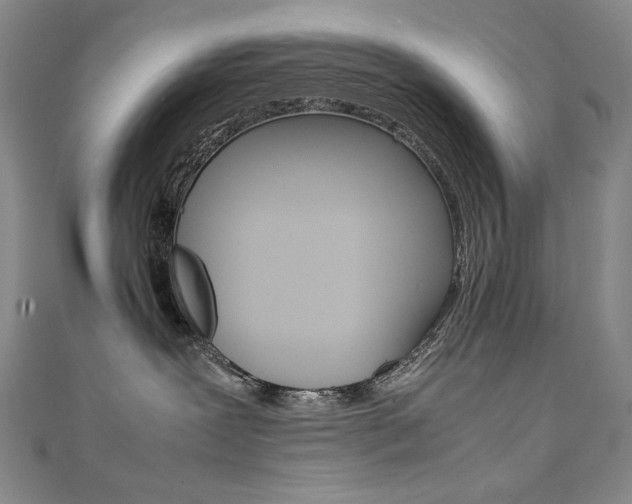 X0000111490239200907141110
