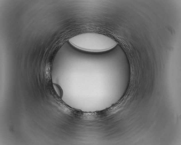 X0000111490240200907141110