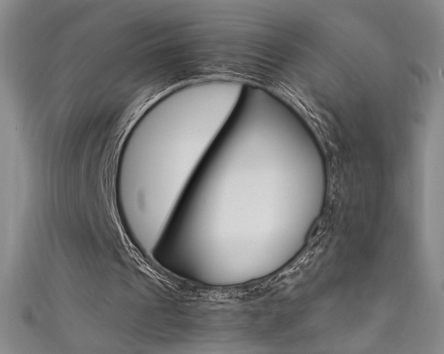 X0000111490241200907141109