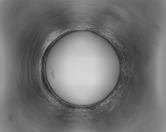 X0000111490242200907141109
