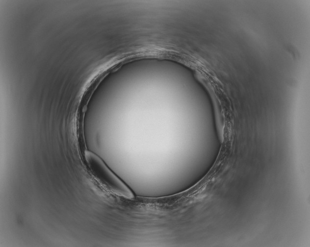 X0000111490244200907141109
