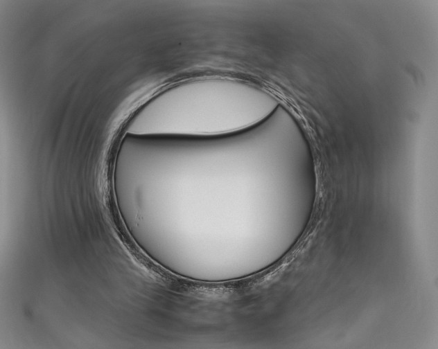 X0000111490245200907141109