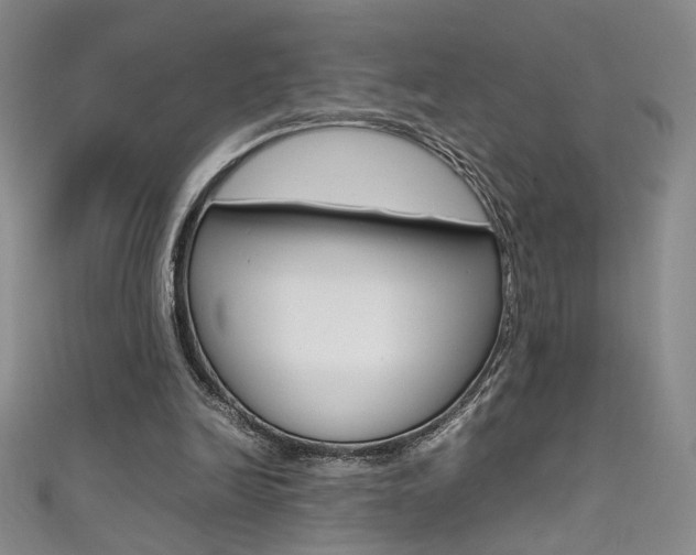 X0000111490246200907141109