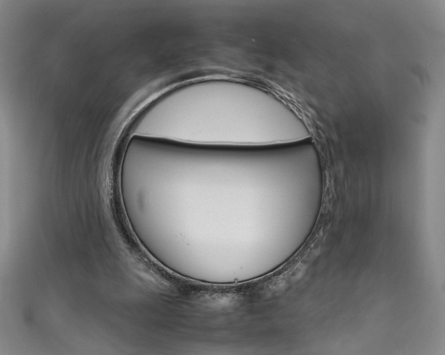 X0000111490247200907141109