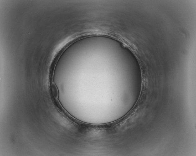 X0000111490248200907141109