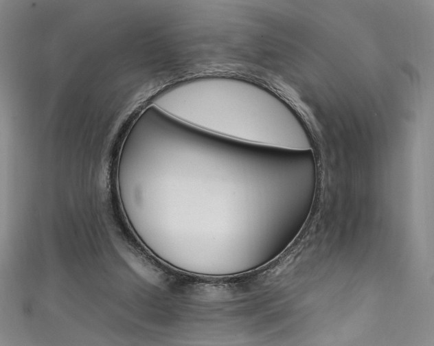 X0000111490250200907141109