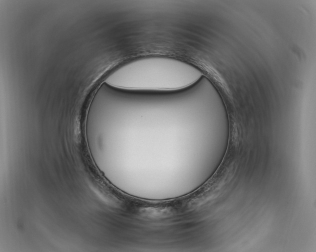 X0000111490251200907141109