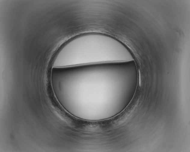 X0000111490252200907141109