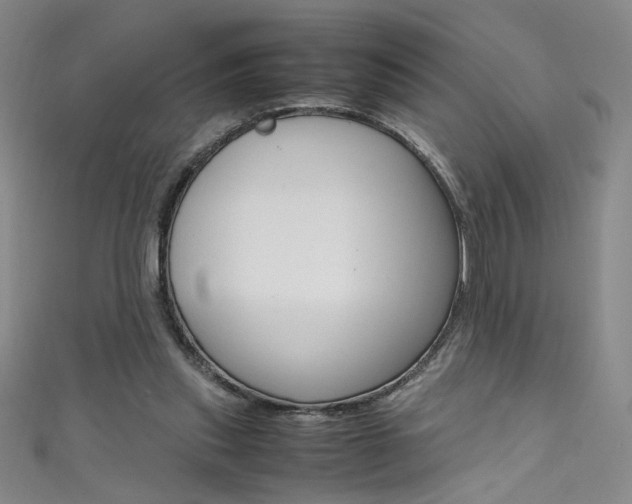 X0000111490253200907141109