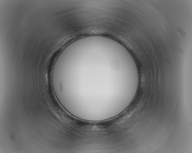 X0000111490254200907141109