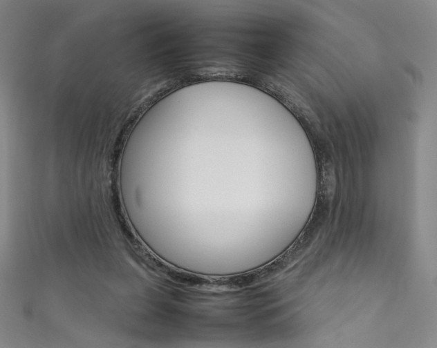 X0000111490255200907141109