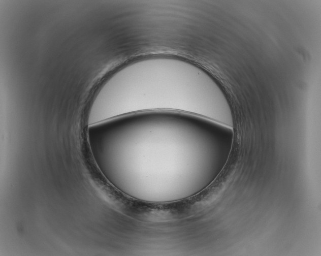 X0000111490256200907141109