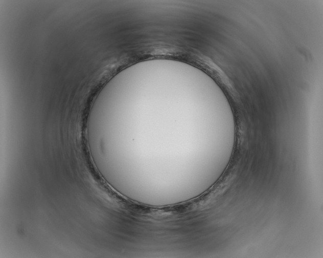 X0000111490257200907141109