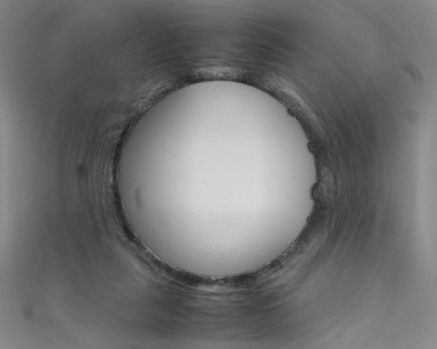 X0000111490259200907141109
