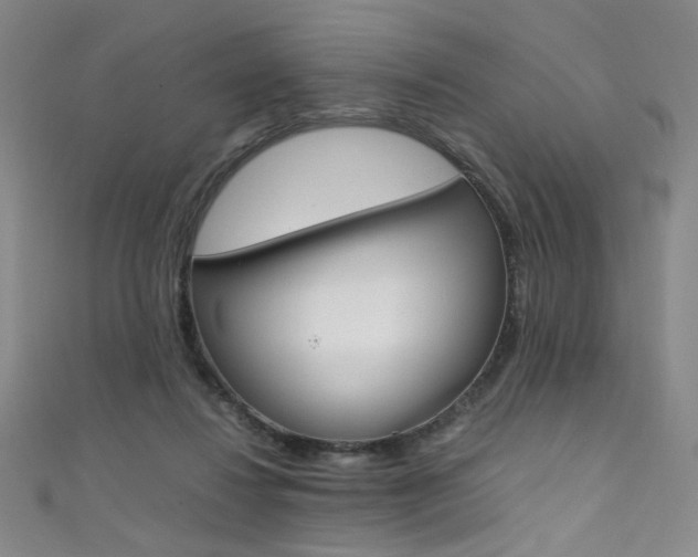 X0000111490260200907141109