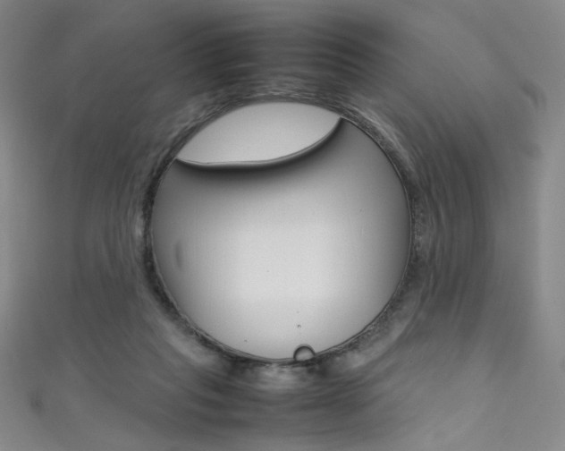 X0000111490261200907141109
