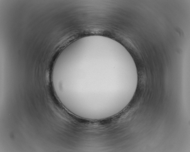 X0000111490262200907141109