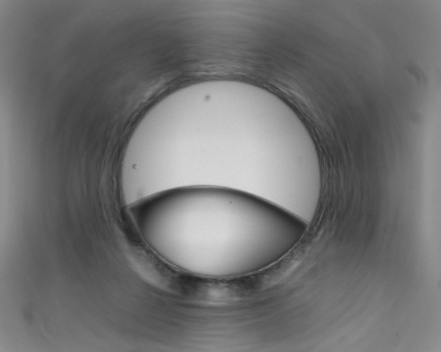 X0000111490264200907141109
