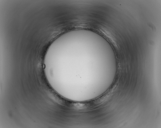 X0000111490265200907141109
