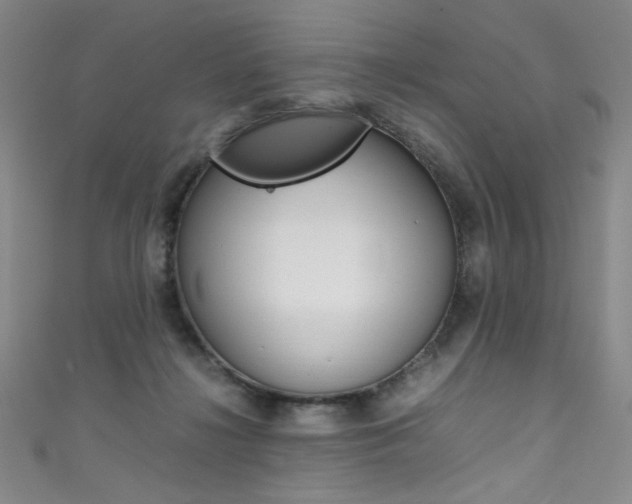 X0000111490268200907141109