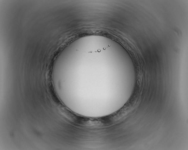 X0000111490270200907141110