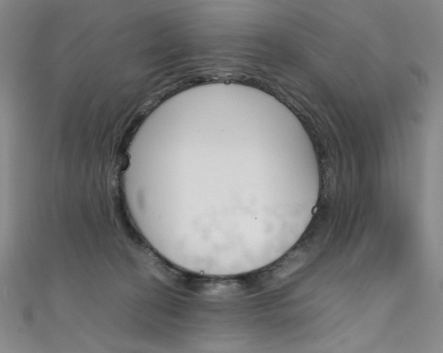 X0000111490274200907141110