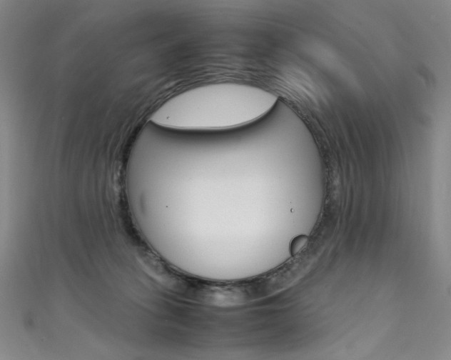 X0000111490275200907141110