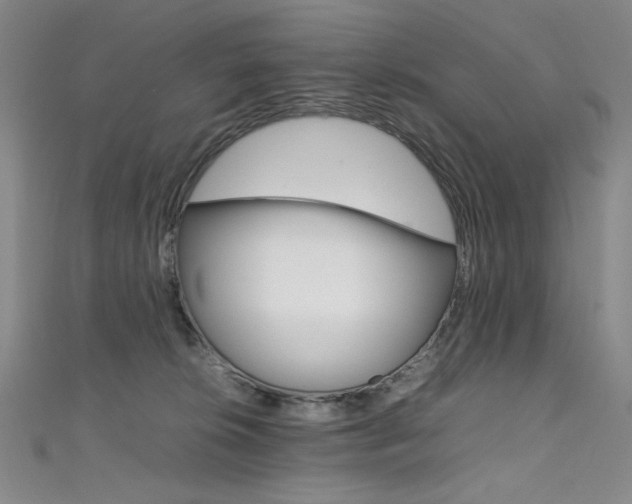 X0000111490276200907141110